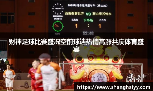 财神足球比赛盛况空前球迷热情高涨共庆体育盛宴