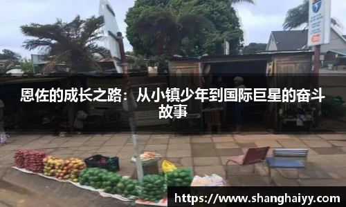OB电竞官方网站